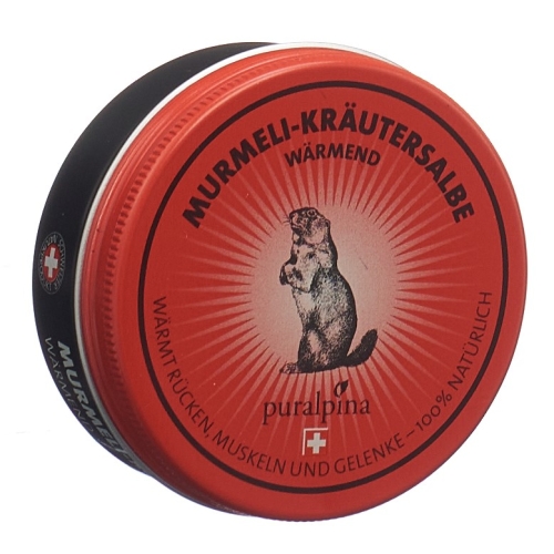Puralpina Murmeli-kräutersalbe Wärmend 50ml buy online