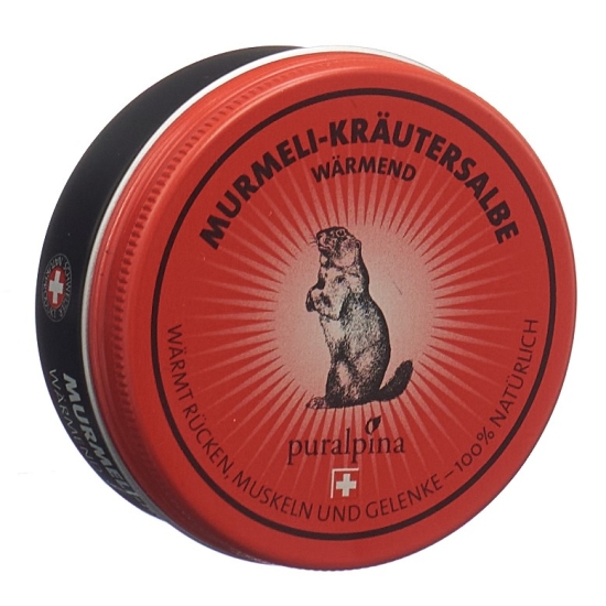 Puralpina Murmeli-kräutersalbe Wärmend 50ml buy online