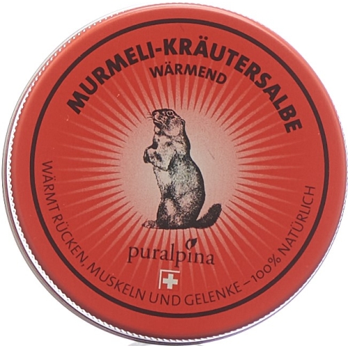 Puralpina Murmeli-kräutersalbe Wärmend 50ml buy online