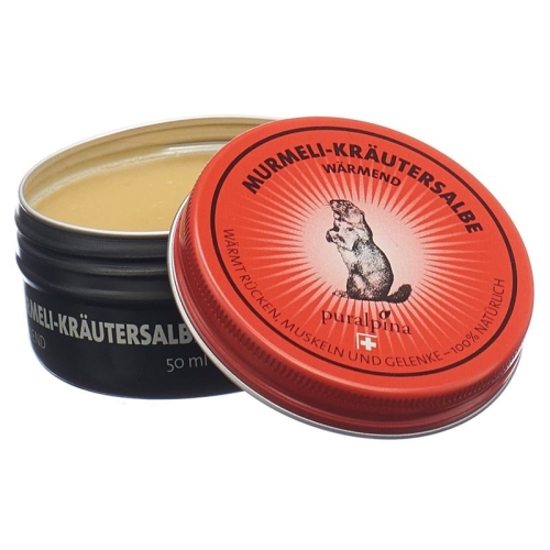 Puralpina Murmeli-kräutersalbe Wärmend 50ml buy online
